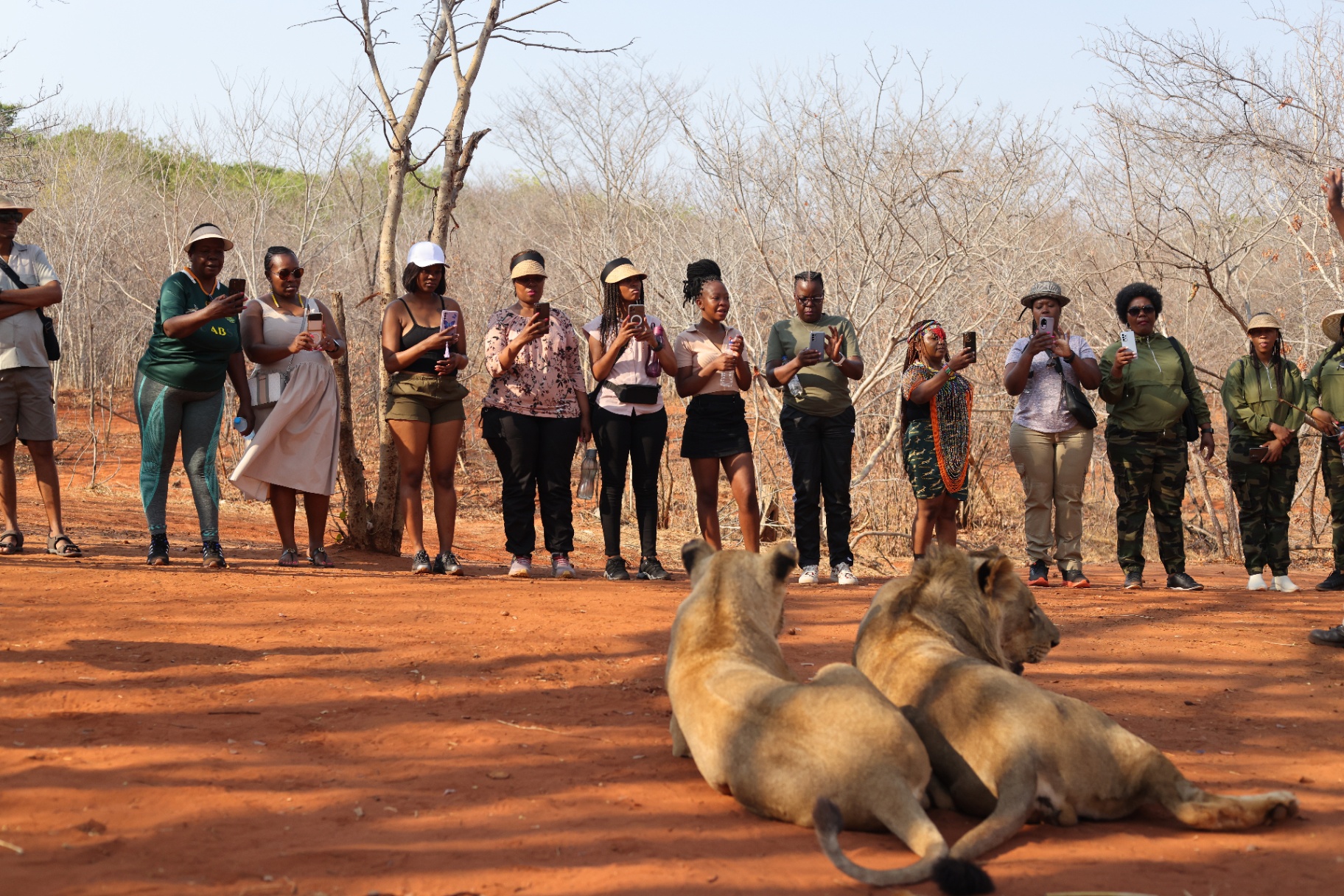 Tour Lions Group